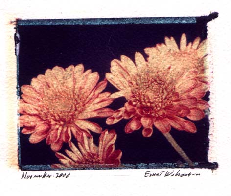 twoflowers
