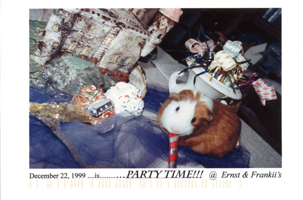 137_partytime